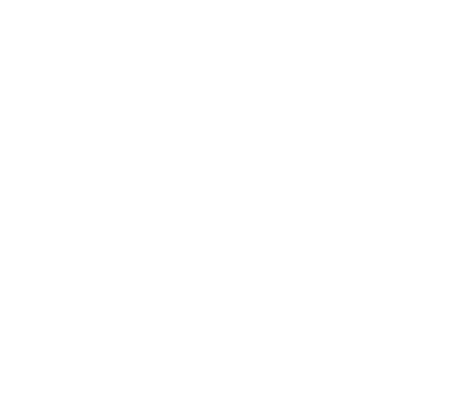 Força Team